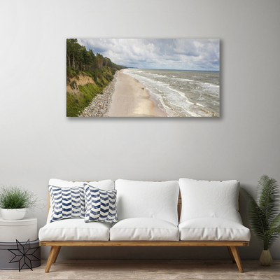 Foto på canvas Strand Havsträd Natur