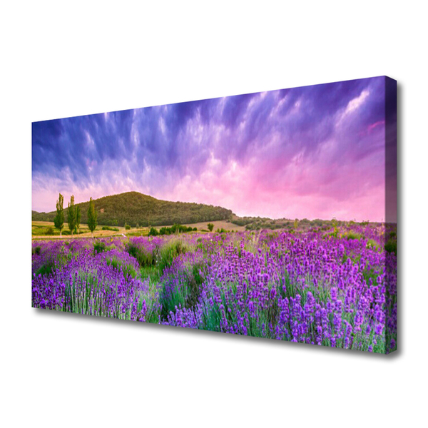 Fototryck canvas Äng Blommor Berg Natur