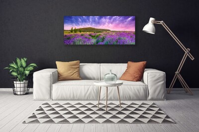 Fototryck canvas Äng Blommor Berg Natur