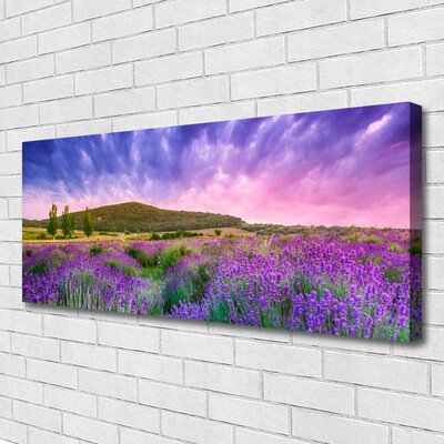 Fototryck canvas Äng Blommor Berg Natur