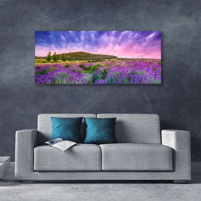 Fototryck canvas Äng Blommor Berg Natur