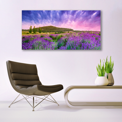 Fototryck canvas Äng Blommor Berg Natur