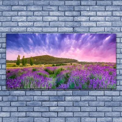 Fototryck canvas Äng Blommor Berg Natur