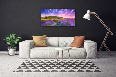 Fototryck canvas Äng Blommor Berg Natur