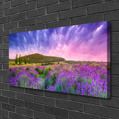 Fototryck canvas Äng Blommor Berg Natur