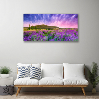 Fototryck canvas Äng Blommor Berg Natur