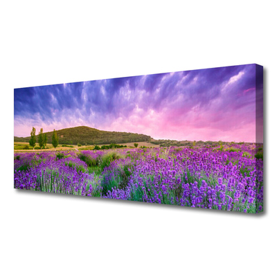 Fototryck canvas Äng Blommor Berg Natur