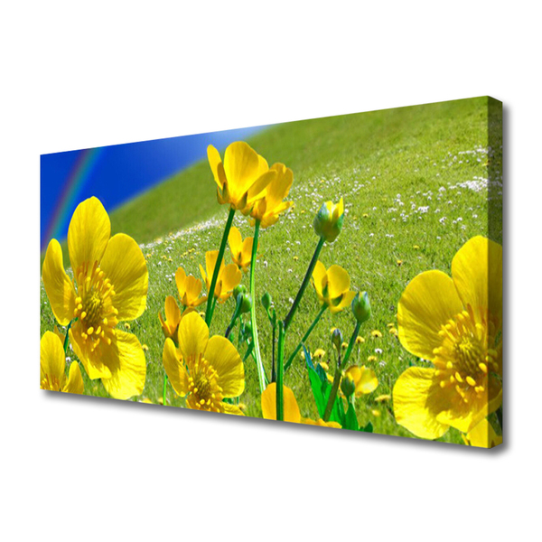 Fototryck canvas Ängsblommor Regnbågsnatur