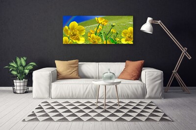 Fototryck canvas Ängsblommor Regnbågsnatur