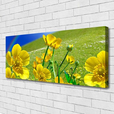 Fototryck canvas Ängsblommor Regnbågsnatur