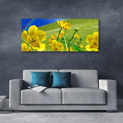 Fototryck canvas Ängsblommor Regnbågsnatur