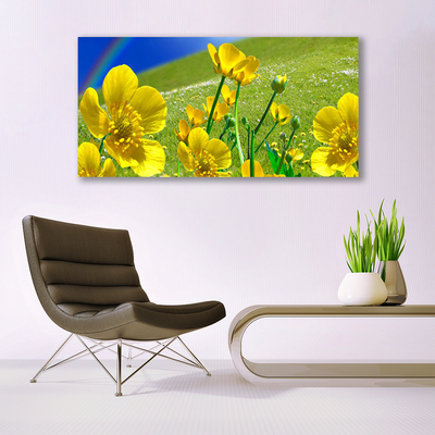 Fototryck canvas Ängsblommor Regnbågsnatur