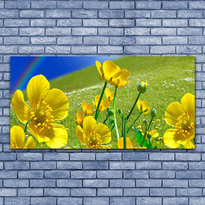 Fototryck canvas Ängsblommor Regnbågsnatur