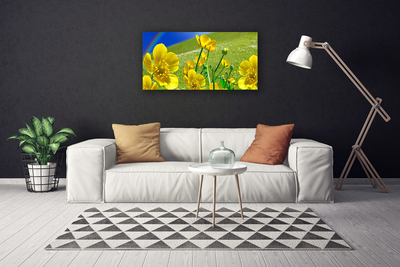 Fototryck canvas Ängsblommor Regnbågsnatur