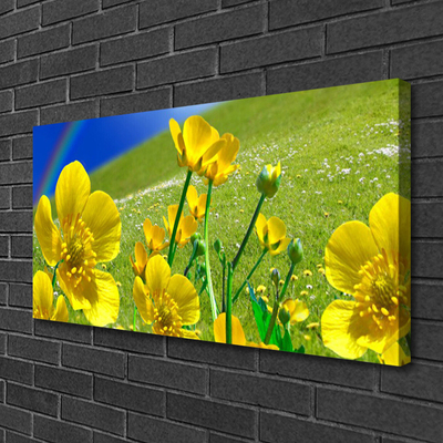 Fototryck canvas Ängsblommor Regnbågsnatur