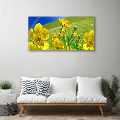 Fototryck canvas Ängsblommor Regnbågsnatur