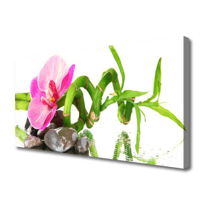 Fototryck canvas Blomma Växt Natur