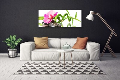 Fototryck canvas Blomma Växt Natur