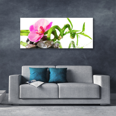 Fototryck canvas Blomma Växt Natur