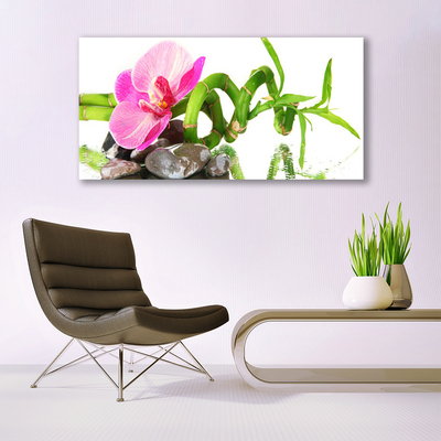 Fototryck canvas Blomma Växt Natur