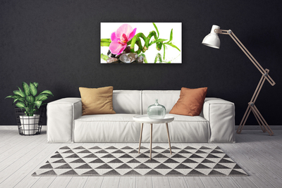 Fototryck canvas Blomma Växt Natur