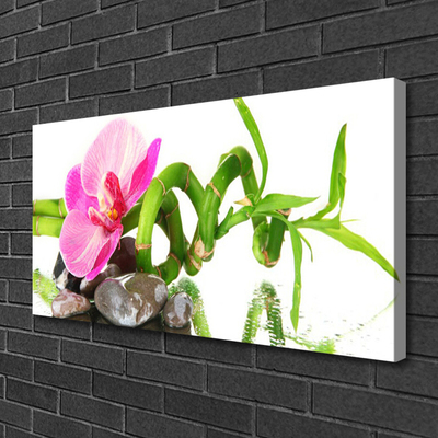 Fototryck canvas Blomma Växt Natur