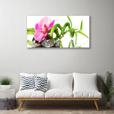 Fototryck canvas Blomma Växt Natur