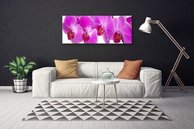 Bild på canvas Blommor Växtnatur