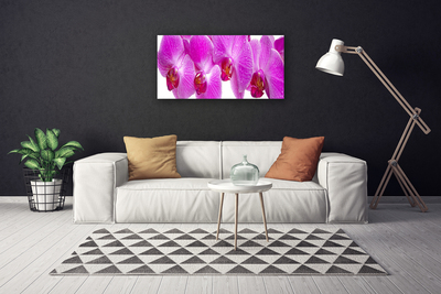 Bild på canvas Blommor Växtnatur