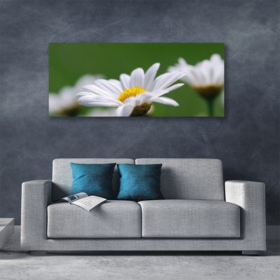 Fototryck canvas Daisy På Väggen