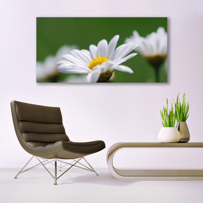 Fototryck canvas Daisy På Väggen