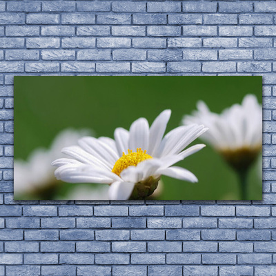 Fototryck canvas Daisy På Väggen