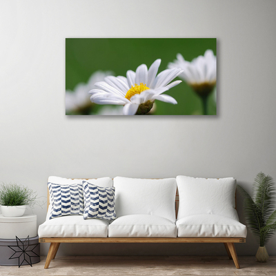 Fototryck canvas Daisy På Väggen