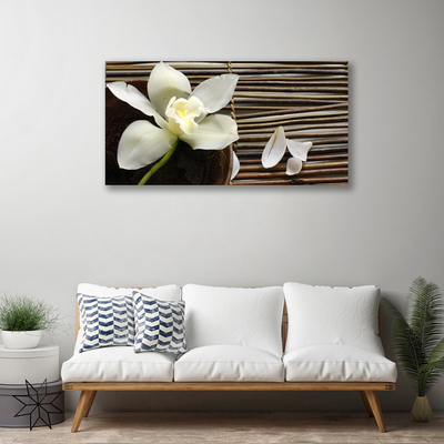 Fototryck canvas Blomma På Väggen