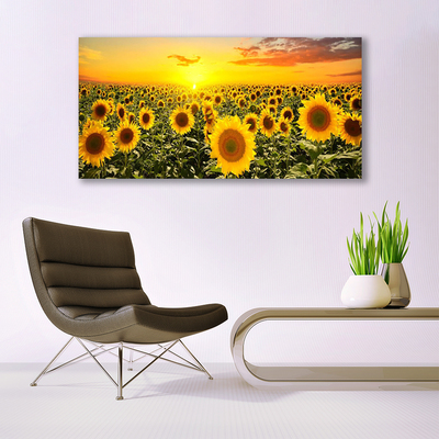 Fototryck canvas Solrosor