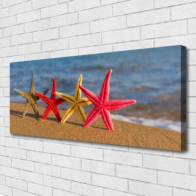 Foto till canvastavla Beach Starfish Art