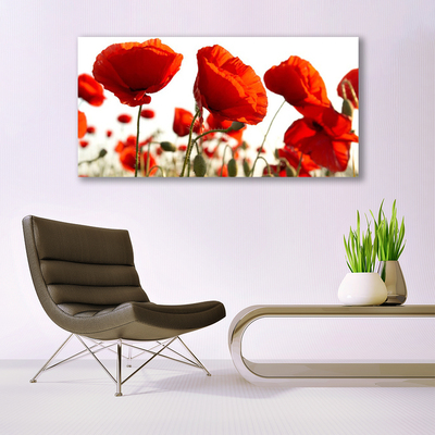 Bild på canvas Tulpaner Blommor