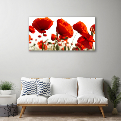 Bild på canvas Tulpaner Blommor