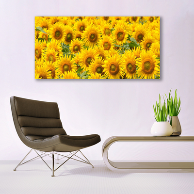 Canvas bild Solrosväxtnatur