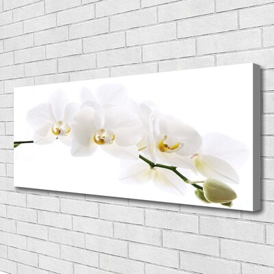 Fototryck canvas Orkidé blommor