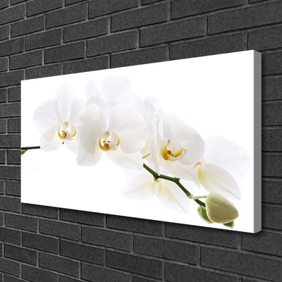 Fototryck canvas Orkidé blommor