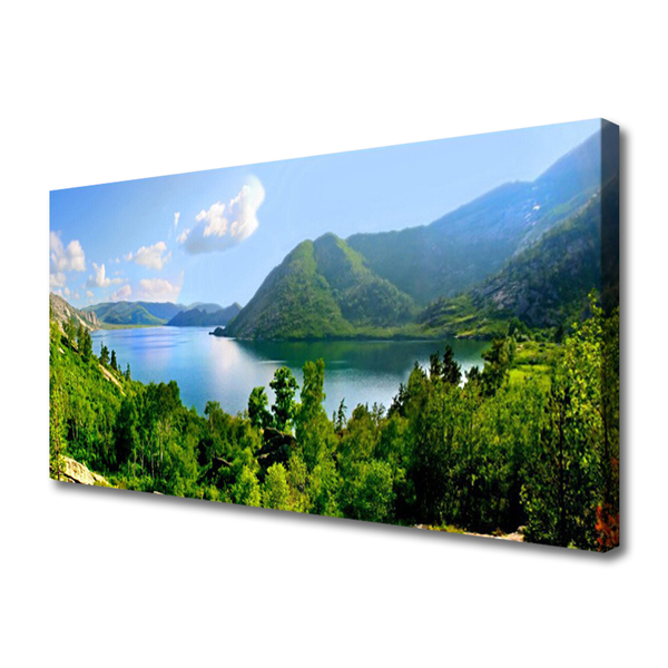 Canvas bild Forest Lake bergslandskap