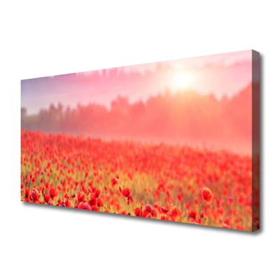 Canvas bild Ängsblommor Naturväxt