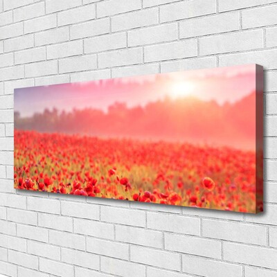 Canvas bild Ängsblommor Naturväxt