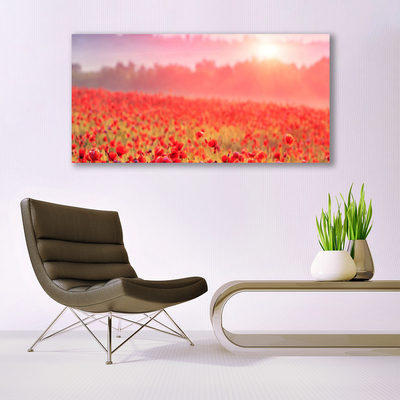 Canvas bild Ängsblommor Naturväxt