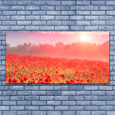 Canvas bild Ängsblommor Naturväxt