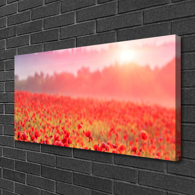 Canvas bild Ängsblommor Naturväxt