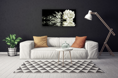 Canvas bild Rose Flower Plant