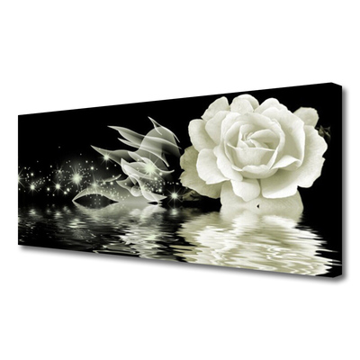 Canvas bild Rose Flower Plant