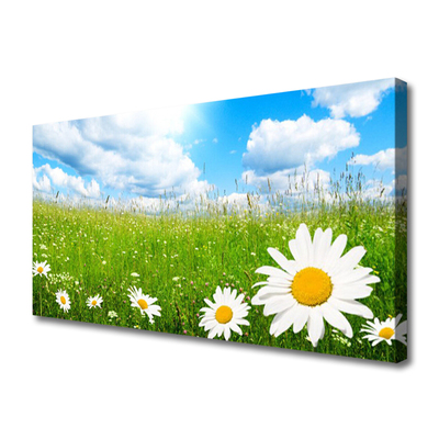 Bild canvas Daisy Grass Nature